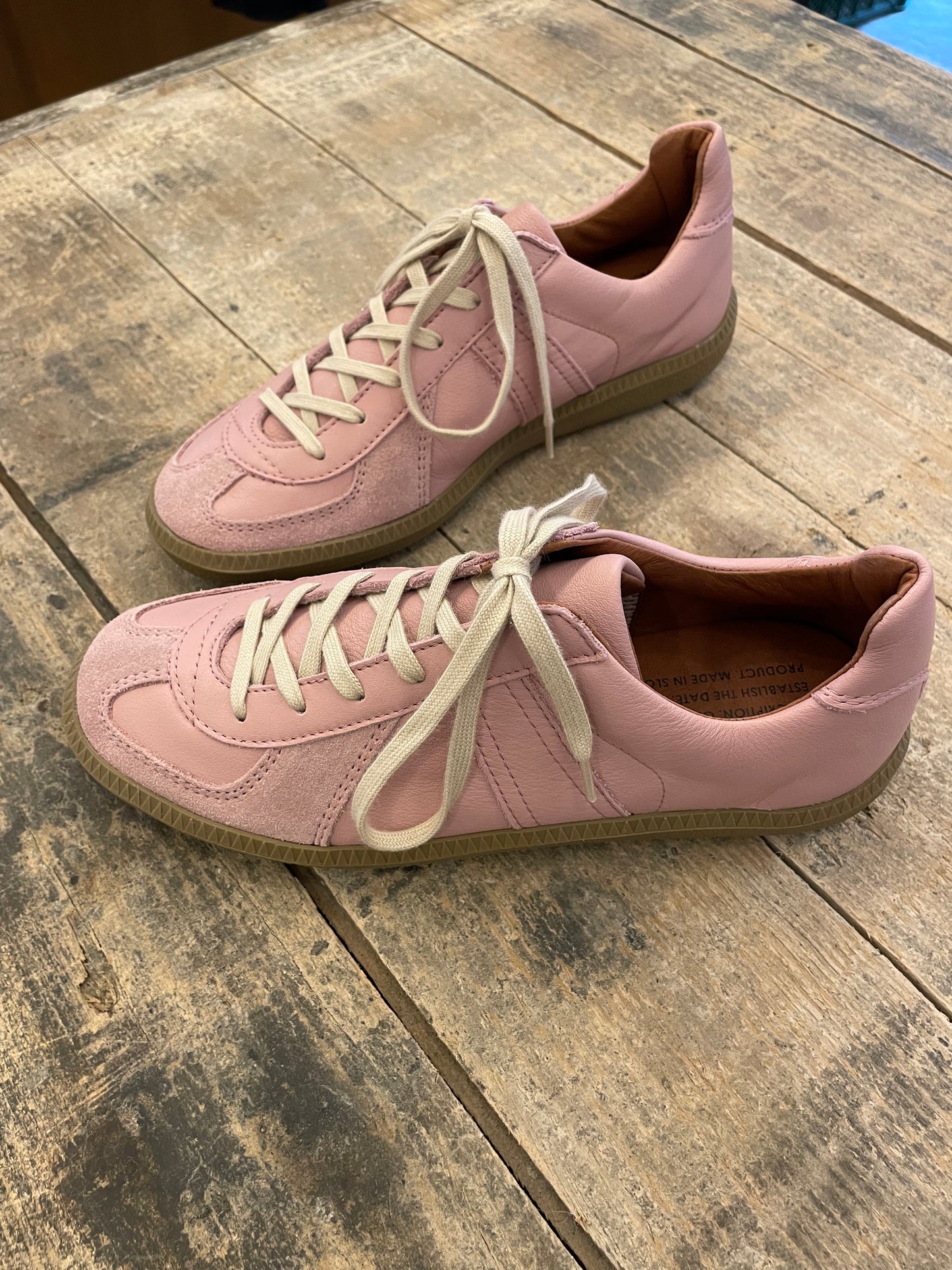 ジャーマンミリタリートレーナー / German military trainer